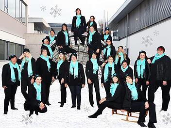 Das Vocalensemble Coburg gestaltet am 8., 15. und 16. Dezember drei Konzerte in der Region Coburg.Foto: PR