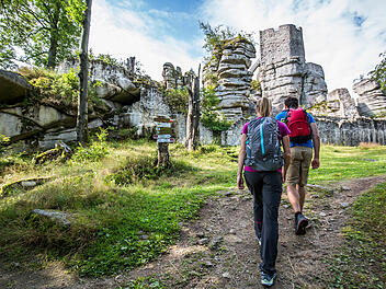 Auszeichnung f&uuml;r Goldsteig: Sch&ouml;nster Fernwanderweg 2026 f&uuml;hrt durch Ostbayern