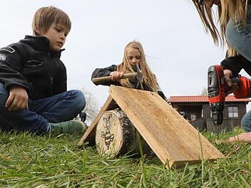 Hämmern und Bohren gehört im Obst- und Gartenbauverein dazu: Die "Frechen Früchtchen" bauen in Priesendorf Bienenhotels aus Baumscheiben und Bretten. Fotos: Barbara Herbst