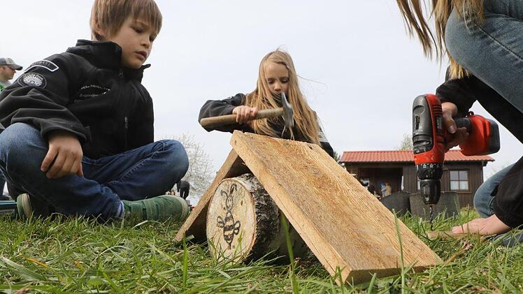 Hämmern und Bohren gehört im Obst- und Gartenbauverein dazu: Die "Frechen Früchtchen" bauen in Priesendorf Bienenhotels aus Baumscheiben und Bretten. Fotos: Barbara Herbst