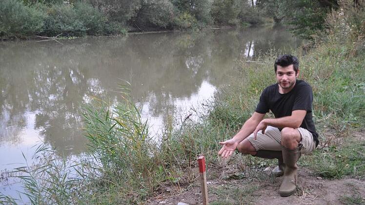 Christian Lenk, Wasserwart des Fischereivereins, zeigt den Pflock   gleich unterhalb der Aischbr&uuml;cke,  an dem die Schnur angebunden war. Vor Ort fand man allerlei Fischreste.