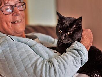 Heimbewohnerin Irmgard Kess (86) schmust gern mit Kater Otto. Fotos: Nico Fay