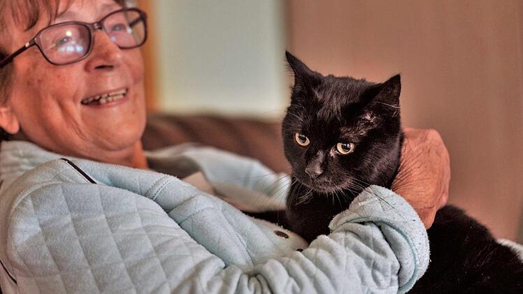 Heimbewohnerin Irmgard Kess (86) schmust gern mit Kater Otto. Fotos: Nico Fay