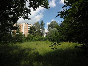 Auf einer Gr&uuml;nfl&auml;che zwischen Pfalzstra&szlig;e und der Stra&szlig;e Am Steingraben in Bad Kissingen-Nordost soll ein Bolzplatz entstehen.  Siegfried Farkas