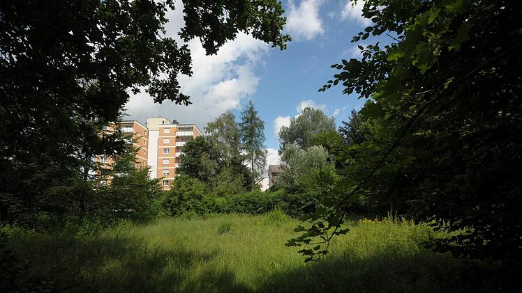 Auf einer Gr&uuml;nfl&auml;che zwischen Pfalzstra&szlig;e und der Stra&szlig;e Am Steingraben in Bad Kissingen-Nordost soll ein Bolzplatz entstehen.  Siegfried Farkas