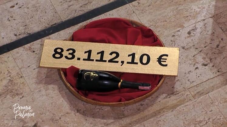 Die Finalistinnen spielen in dieser Staffel um ein Rekord-Preisgeld in H&ouml;he von 83.112,10 Euro.