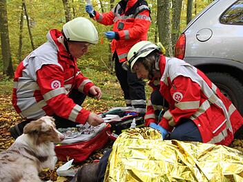 Der Hund hat einen Verletzten entdeckt. Sanitäter und Ärzte kümmern sich um ihn. Fotos: Markus Reeh