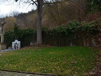 Unter einem Baum können jetzt Urnen bestattet werden.  Foto: Andreas Lomb