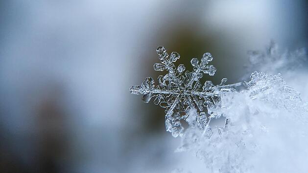 Schneeflocke