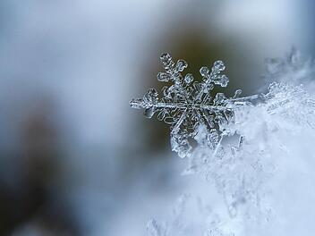 Schneeflocke