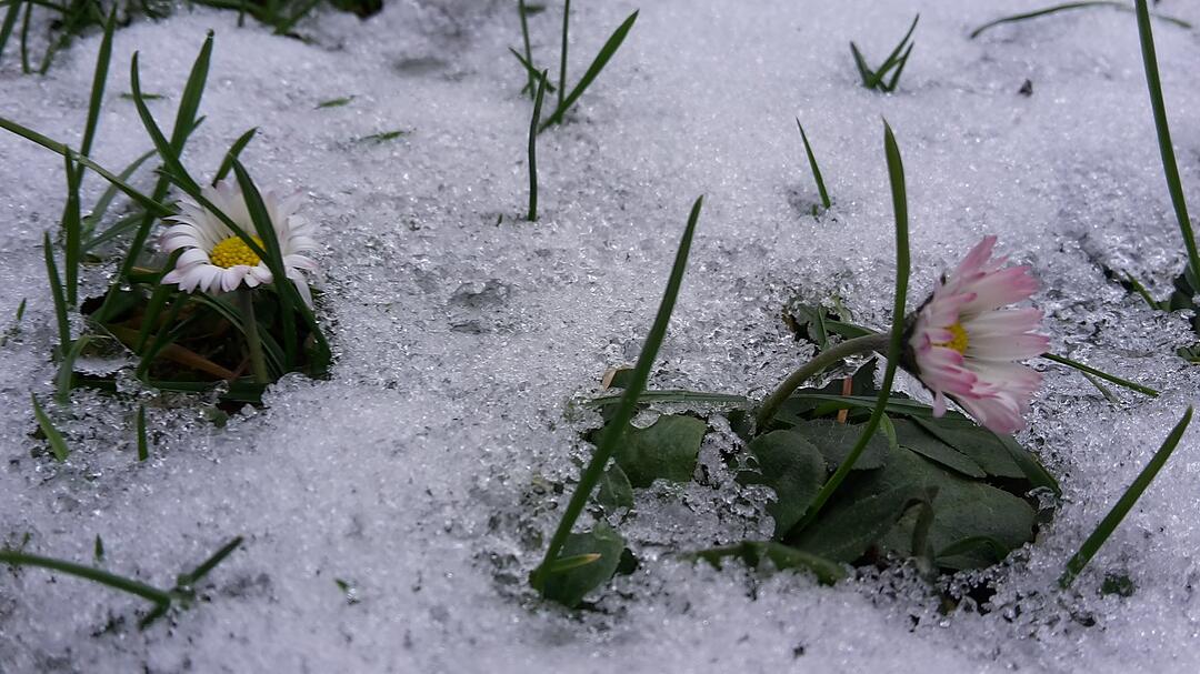 Die schönsten Frühlingsfotos aus Coburg und Umgebung