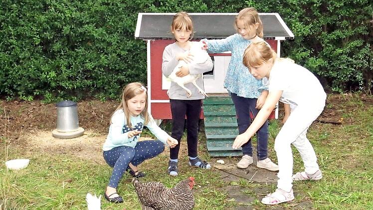 Die Schüler kümmern sich um die Hühner in der Poxdorfer Schule.  Foto: Dagmar Niemann