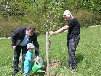 Auch Gisela Cesaro pflanzte einen Apfelbaum für ihre fünf Monate alte Enkelin. Der kleine Philipp Mitter (auch Bild unten) und der Förster der Stadt Kronach, Ulli Dautel, unterstützten die stolze Oma bei der Arbeit.  Fotos: Veronika Schadeck
