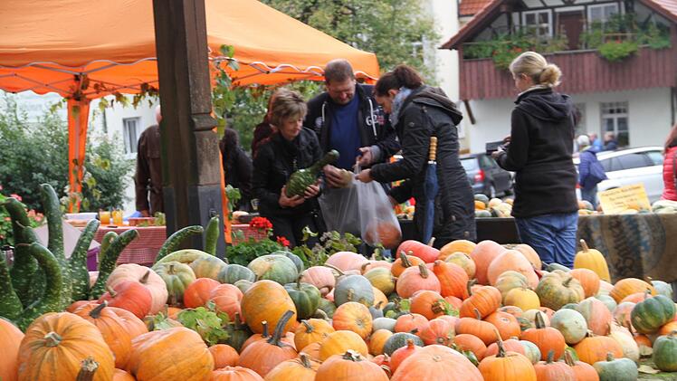 Auch wenn es in diesem Jahr an Obst mangelte, das Angebot an Kürbissen ließ keinen Wunsch offen.  Gerda Völk