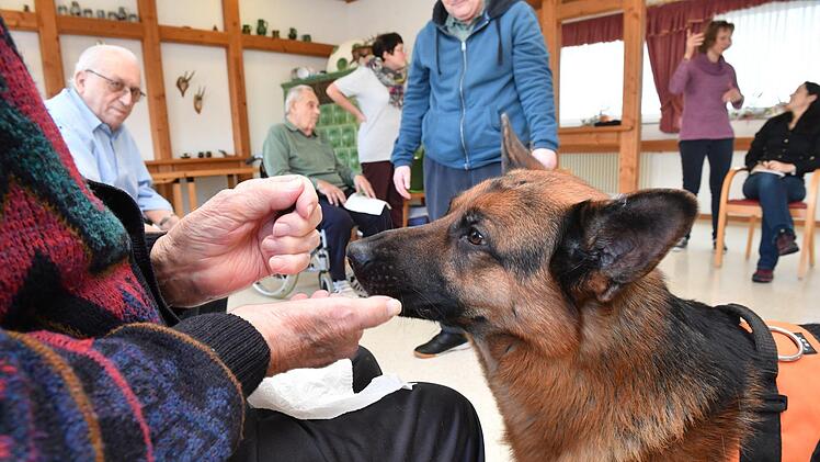 Therapiehund Aramis bei den Senioren im Kulmbacher WohnstiftFoto: Ronald Rinklef