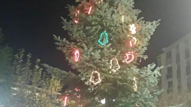Einer der wenigen echten Weihnachtsbäume Foto: Clemens Raab