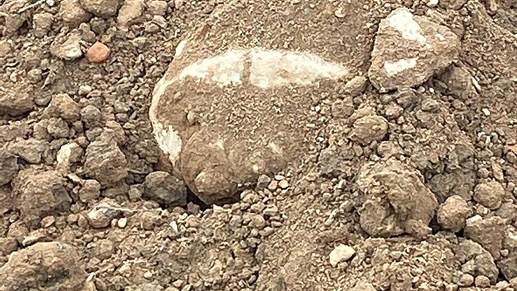 Vermeintliche Bombe in Trieb