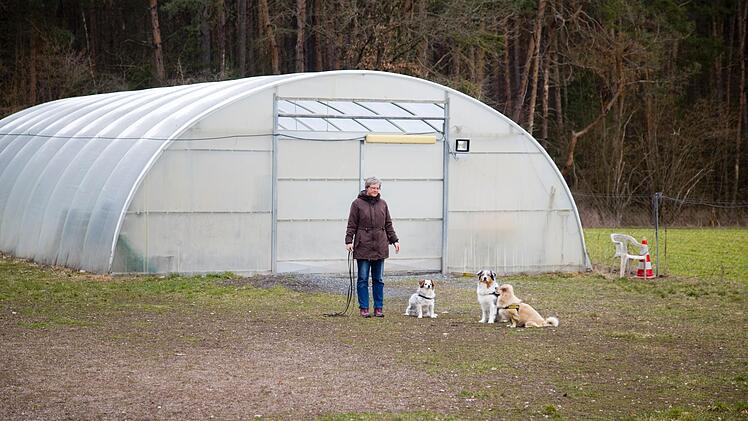 Einsam und verlassen: Carmen Schreiber mit ihrem privaten Rudel Miky, Tamaya und Balu. Seit 16. Dezember ist das Gelände der Hundetrainerin in Lindau verweist, darf sie nicht einmal mehr Einzelcoaching anbieten.