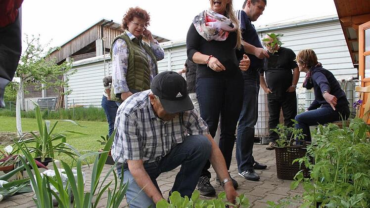 Beim Eggolsheimer Gartenbauverein konnten sich Gartenfreude mit viel Grünem eindecken.  Foto: Mathias Erlwein