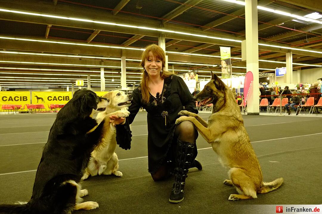 43. Internationale Rassehundeausstellung (Cacib) in Nürnberg