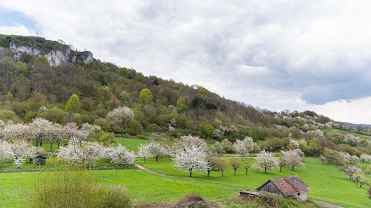 Ausflugstipp: Kirschblüte in der Fränkischen Schweiz