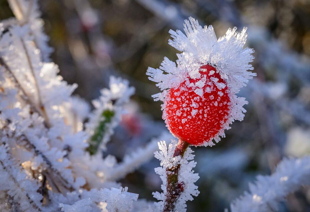 Frostiges Wetter in Brandenburg