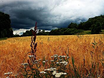 Ein Tief zieht über Franken - weiterhin Regen, Schauer und Gewitter . Foto: inFrankenPix-Nutzerin Stubinii