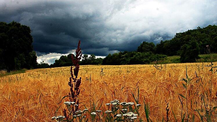 Ein Tief zieht über Franken - weiterhin Regen, Schauer und Gewitter . Foto: inFrankenPix-Nutzerin Stubinii