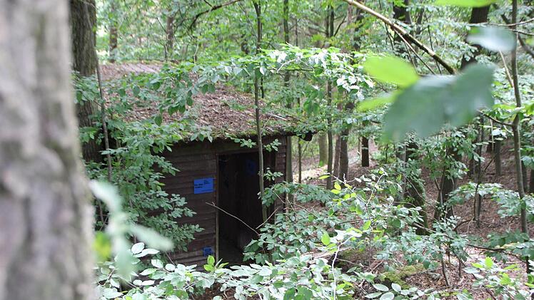 Die Schnitzeljagd führt in den Wald zwischen Uehlfeld und Vestenbergsgreuth. "The blue gallery": Der mysteriöse Künstler hat sich dort offenbar schon vor einem Jahr ein weiteres, verstecktes "Atelier" in einer verlassenen Hütte  eingerichtet. Foto: Christian Bauriedel