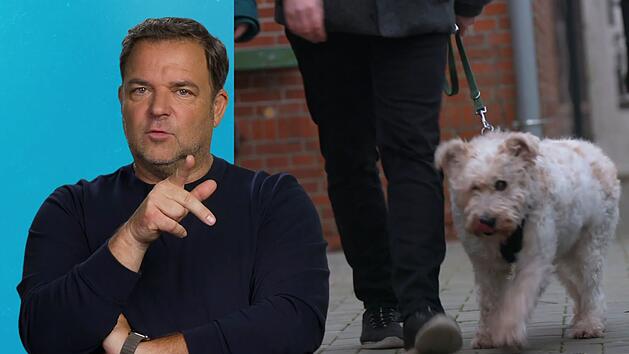 Martin R&uuml;tter sucht ein Zuhause f&uuml;r den fast blinden Rexi.