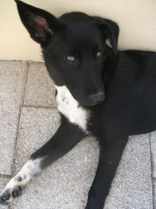 Foto: Tina Lindenberger