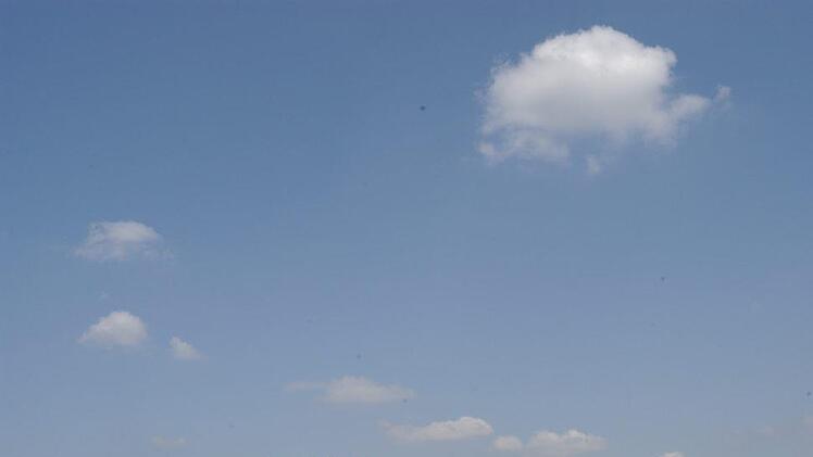 Ausschüsse übernehmen Teilaufgaben des Stadtrats. Unser Archivbild zeigt einen früheren Bauausschuss bei einer Ortsbesichtigung.  Foto: Siegfried Farkas