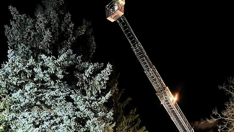 Buch bei Gremsdorf: Feuerwehr muss Katze von Baum retten