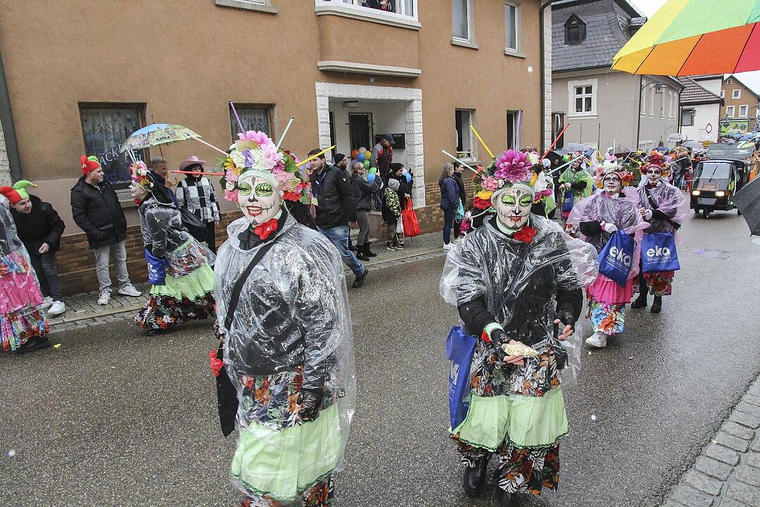 Stadtsteinacher Narrentreiben 2024