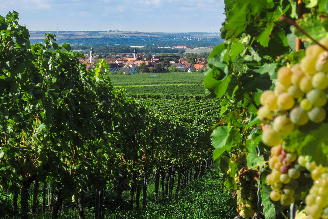 Fotos Konrad Thomann