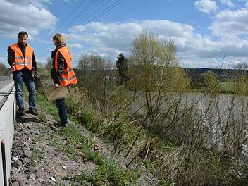 An Wänden wie dieser gibt es für die Kröten kein Weiterkommen mehr.  Foto: privat