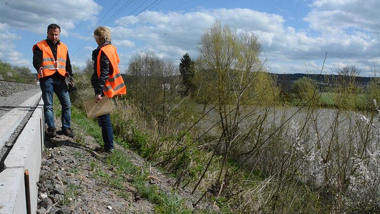 An Wänden wie dieser gibt es für die Kröten kein Weiterkommen mehr.  Foto: privat