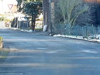 Demnächst Tempo-30-Zone: der Erlenweg hin zur Hauptstraße  Foto: Roland Dietz