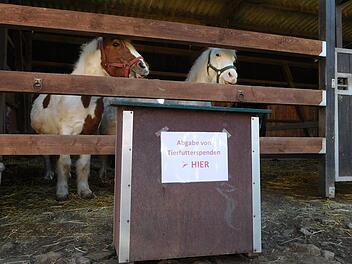 Foto: Tierschutzhof Rhön-Grabfeld
