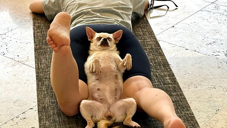 Wellness-Trend Puppy Yoga