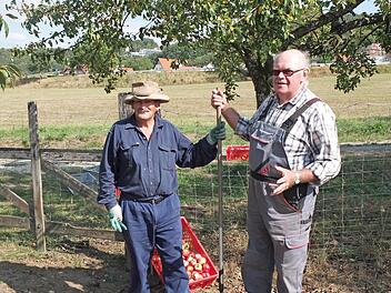 Daniel Buckley (l.) und Hans Engelhardt bei der Apfelernte in Weingarts  Foto: Landratsamt Forchheim
