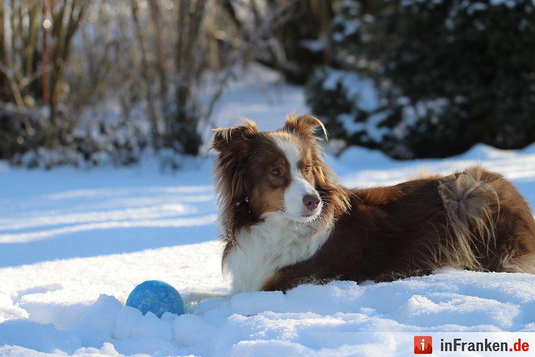 Eis und Schnee in Franken - die schönsten Winterleserfotos