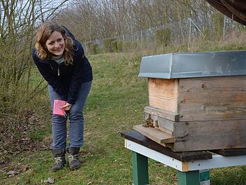 Lehrerin Amancay Greulich beobachtet es mit Freude: Die ersten Bienen verlassen nach der Umsiedlung ihr Zuhause.