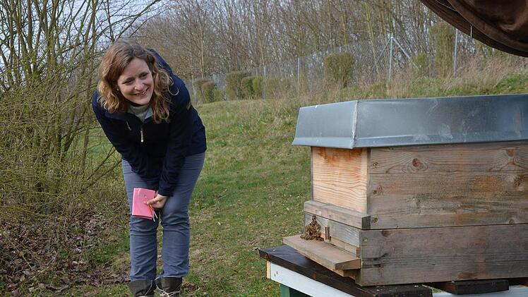 Lehrerin Amancay Greulich beobachtet es mit Freude: Die ersten Bienen verlassen nach der Umsiedlung ihr Zuhause.