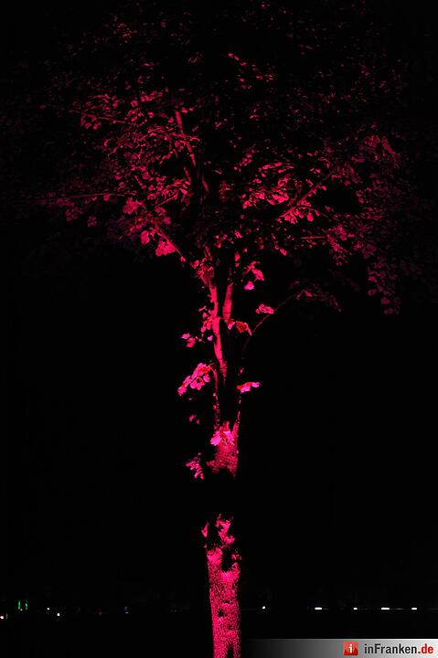 Impressionen der Museumsnacht Coburg