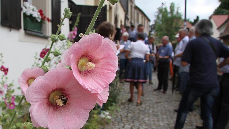 Impressionen vom Jury-Rundgang in Thurnau.
