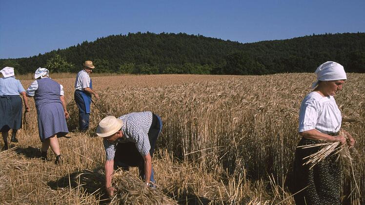 So ging es früher auf dem Land zu. Foto: Ewald Kiesel/Archiv