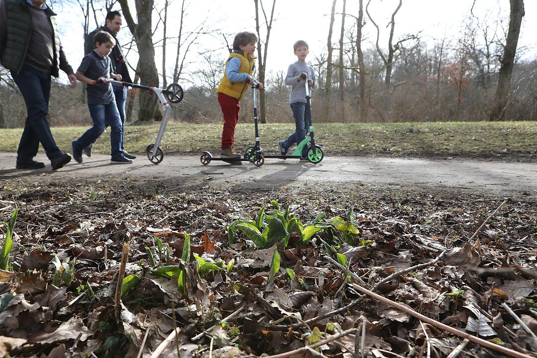 Frühling in Franken: Das Leben erwacht