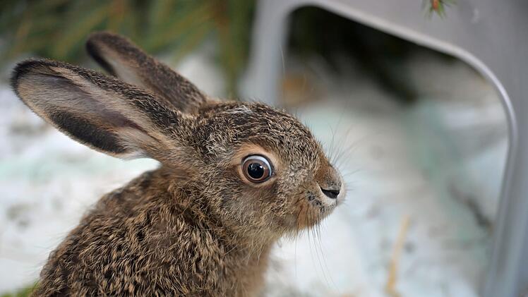 Besuch in einer Wildtier-Auffangstation