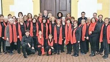 Der Gospelchor Haßberge Foto: privat